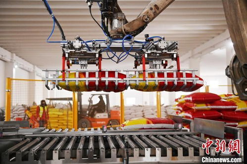 中國鎳都 化工循環(huán)產(chǎn)業(yè)鏈上下游的變廢為寶與共生發(fā)展