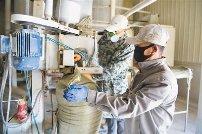 秸稈變藝術(shù) 資源化利用的新路徑與技術(shù)支持探析