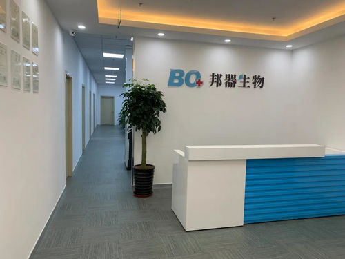 全力推進(jìn)技術(shù)開發(fā)，構(gòu)筑未來發(fā)展新優(yōu)勢